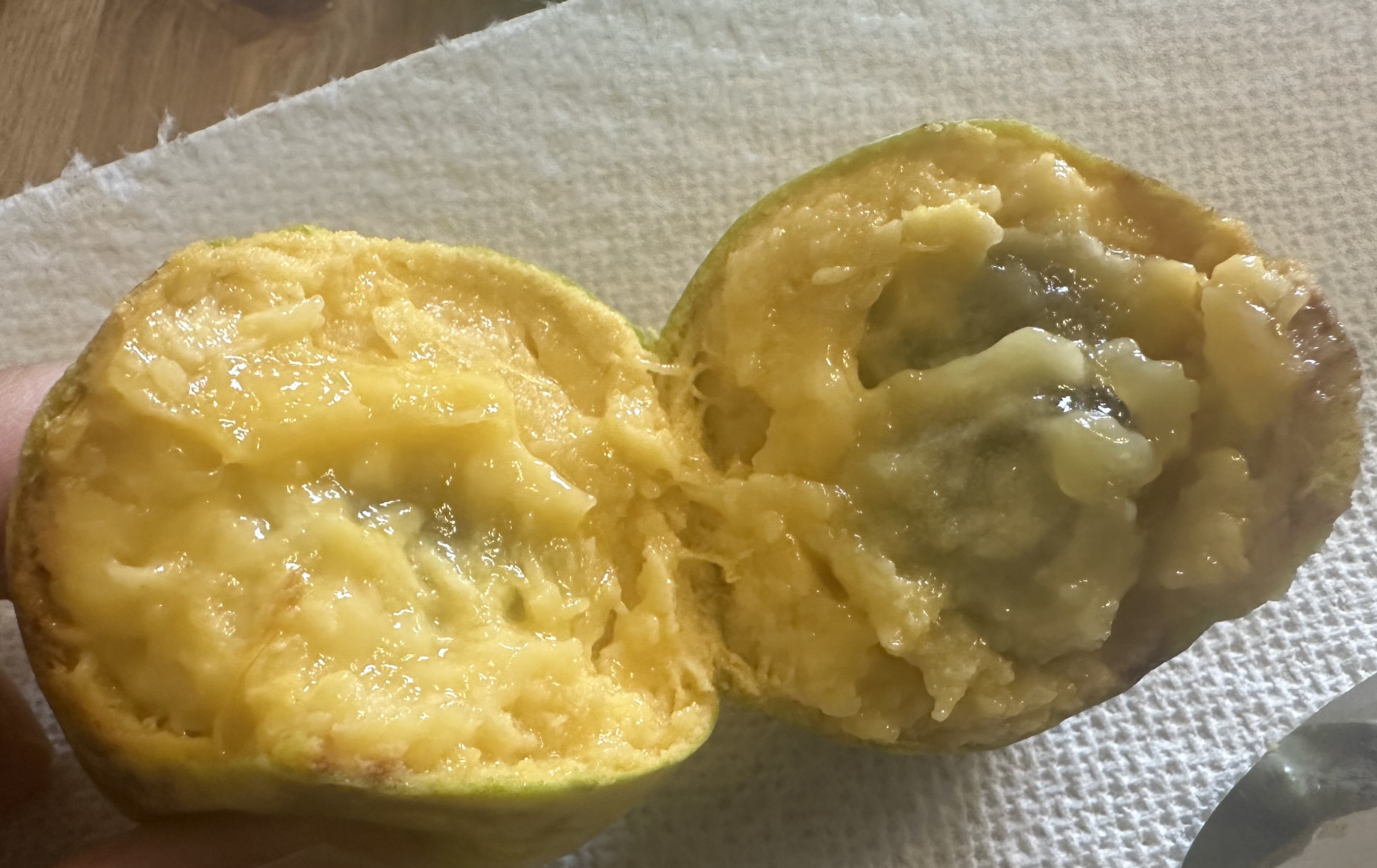 pawpaw3